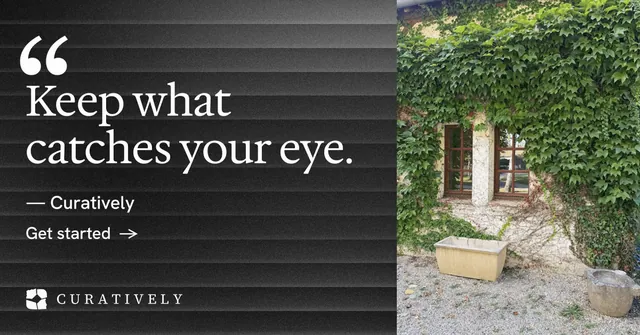 Social ad for Curatively: "It catalogues itself." Minimal luxury style, quote layout, dark palette in black, grey.