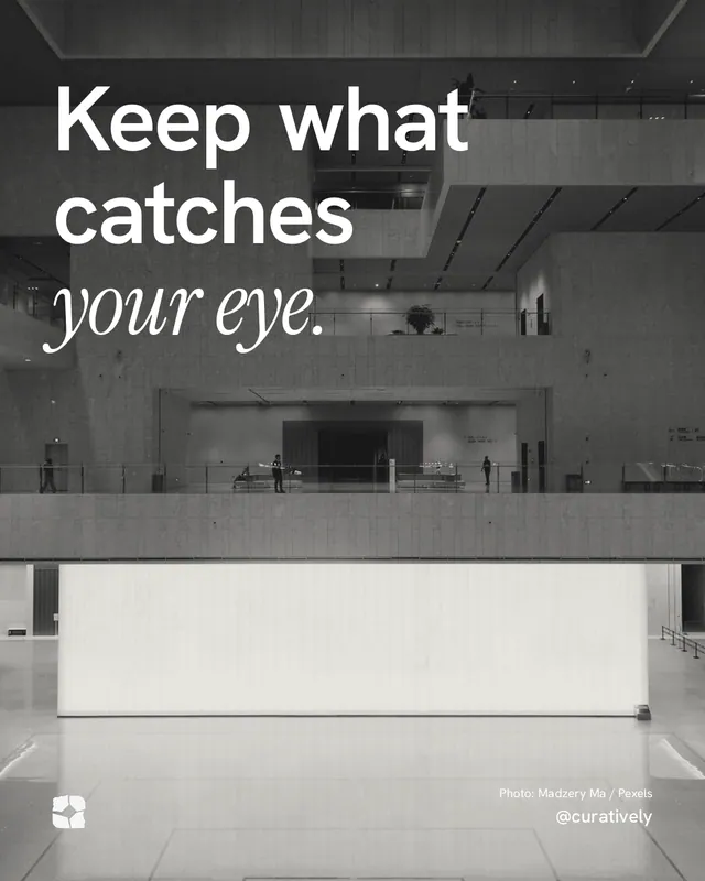 Instagram portrait post for Curatively: "Keep what catches your eye." Duotone style, technique:pexels ingredient layout, light palette in white, black, grey.