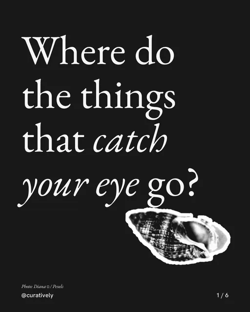 Carousel for Curatively: "Where do the things that catch your eye go?". Cutout essay, 6 slides, dark palette.