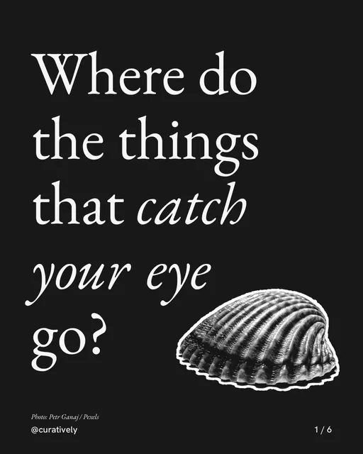 Carousel for Curatively: "Where do the things that catch your eye go?". Cutout essay, 6 slides, dark palette.