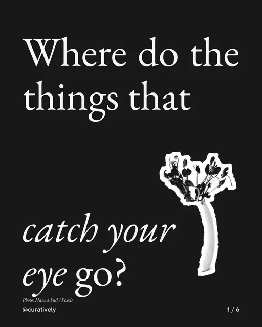 Carousel for Curatively: "Where do the things that catch your eye go?". Cutout essay, 6 slides, dark palette.