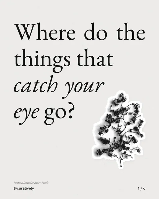 Carousel for Curatively: "Where do the things that catch your eye go?". Cutout essay, 6 slides, light palette.