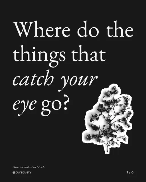 Carousel for Curatively: "Where do the things that catch your eye go?". Cutout essay, 6 slides, dark palette.