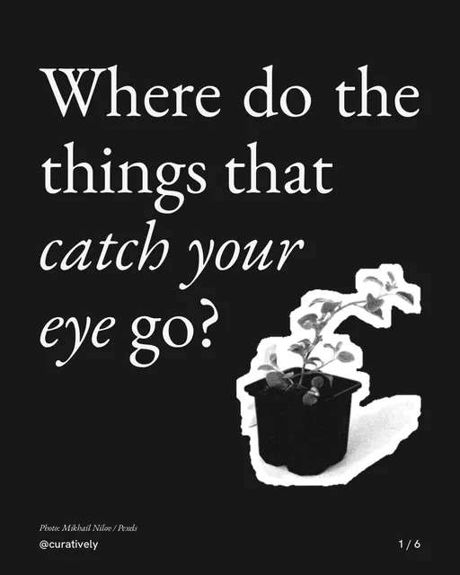Carousel for Curatively: "Where do the things that catch your eye go?". Cutout essay, 6 slides, dark palette.