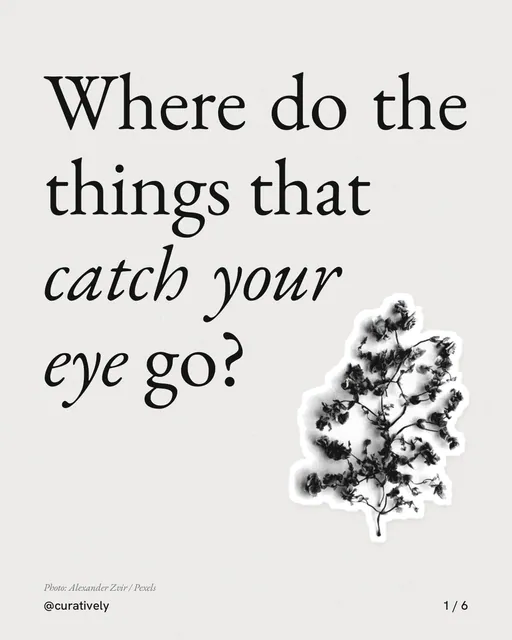 Carousel for Curatively: "Where do the things that catch your eye go?". Cutout essay, 6 slides, light palette.
