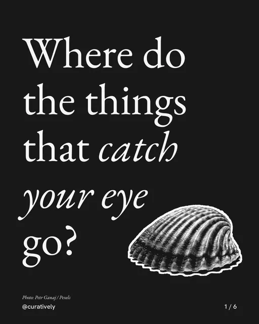 Carousel for Curatively: "Where do the things that catch your eye go?". Cutout essay, 6 slides, dark palette.