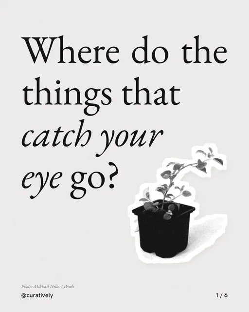 Carousel for Curatively: "Where do the things that catch your eye go?". Cutout essay, 6 slides, light palette.