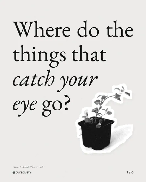 Carousel for Curatively: "Where do the things that catch your eye go?". Cutout essay, 6 slides, light palette.