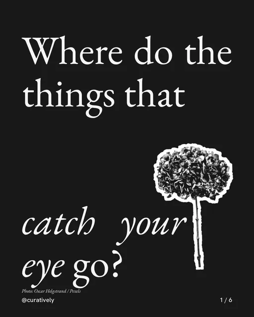Carousel for Curatively: "Where do the things that catch your eye go?". Cutout essay, 6 slides, dark palette.