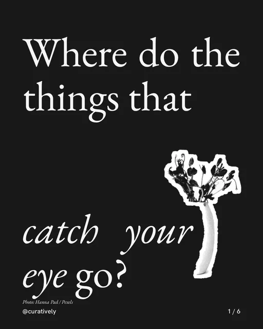 Carousel for Curatively: "Where do the things that catch your eye go?". Cutout essay, 6 slides, dark palette.