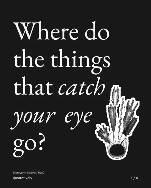 Carousel for Curatively: "Where do the things that catch your eye go?". Cutout essay, 6 slides, dark palette.