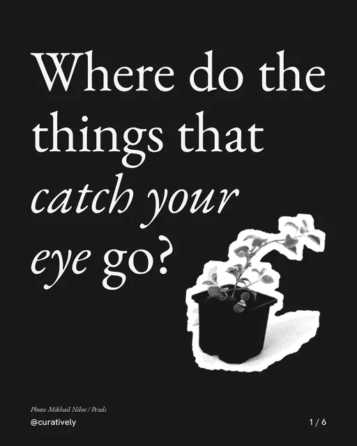 Carousel for Curatively: "Where do the things that catch your eye go?". Cutout essay, 6 slides, dark palette.