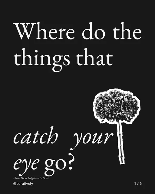 Carousel for Curatively: "Where do the things that catch your eye go?". Cutout essay, 6 slides, dark palette.