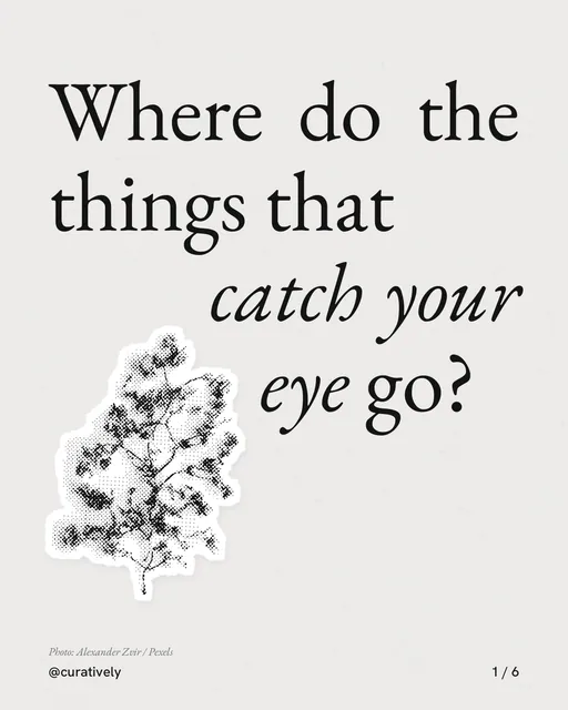 Carousel for Curatively: "Where do the things that catch your eye go?". Cutout essay, 6 slides, light palette.