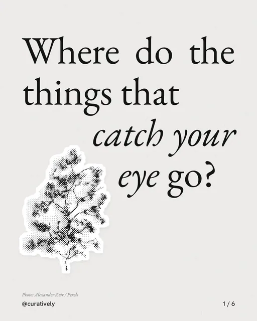 Carousel for Curatively: "Where do the things that catch your eye go?". Cutout essay, 6 slides, light palette.