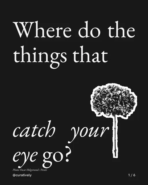 Carousel for Curatively: "Where do the things that catch your eye go?". Cutout essay, 6 slides, dark palette.