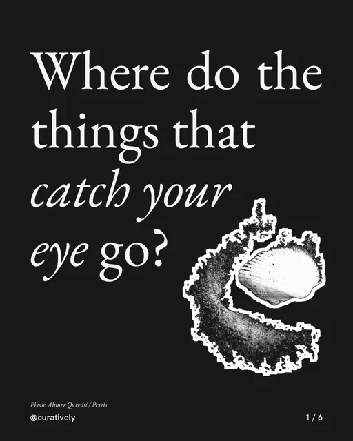 Carousel for Curatively: "Where do the things that catch your eye go?". Cutout essay, 6 slides, dark palette.