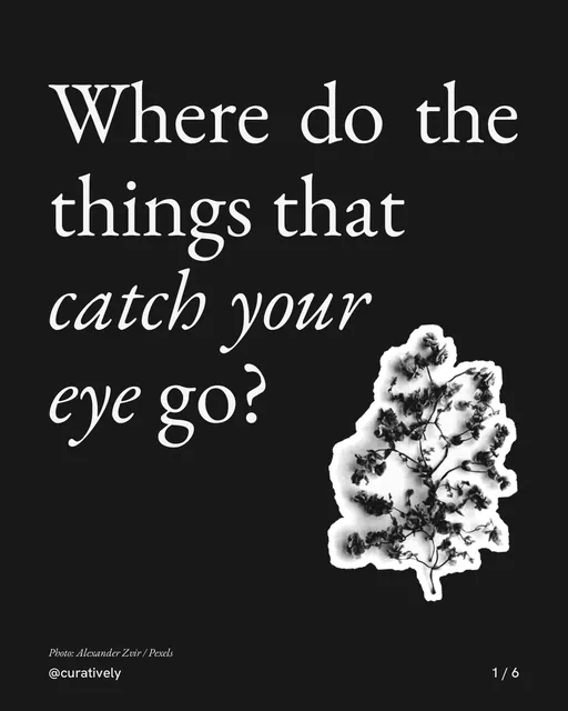 Carousel for Curatively: "Where do the things that catch your eye go?". Cutout essay, 6 slides, dark palette.