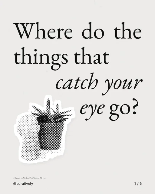 Carousel for Curatively: "Where do the things that catch your eye go?". Cutout essay, 6 slides, light palette.