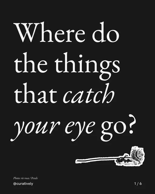 Carousel for Curatively: "Where do the things that catch your eye go?". Cutout essay, 6 slides, dark palette.