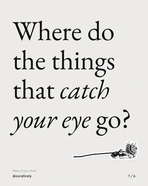 Carousel for Curatively: "Where do the things that catch your eye go?". Cutout essay, 6 slides, light palette.