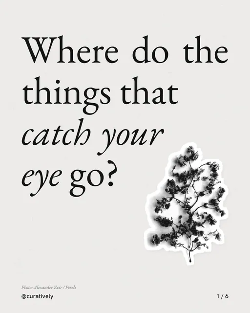 Carousel for Curatively: "Where do the things that catch your eye go?". Cutout essay, 6 slides, light palette.