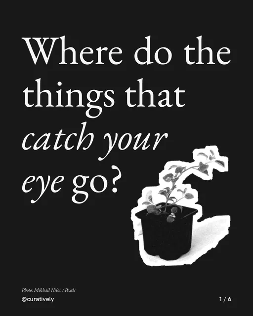 Carousel for Curatively: "Where do the things that catch your eye go?". Cutout essay, 6 slides, dark palette.