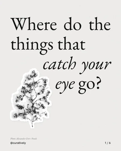 Carousel for Curatively: "Where do the things that catch your eye go?". Cutout essay, 6 slides, light palette.