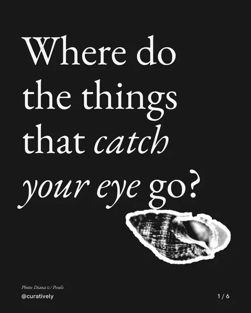 Carousel for Curatively: "Where do the things that catch your eye go?". Cutout essay, 6 slides, dark palette.