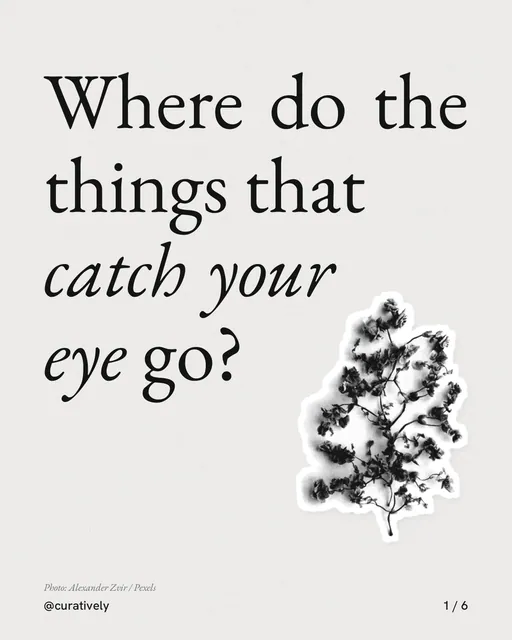 Carousel for Curatively: "Where do the things that catch your eye go?". Cutout essay, 6 slides, light palette.