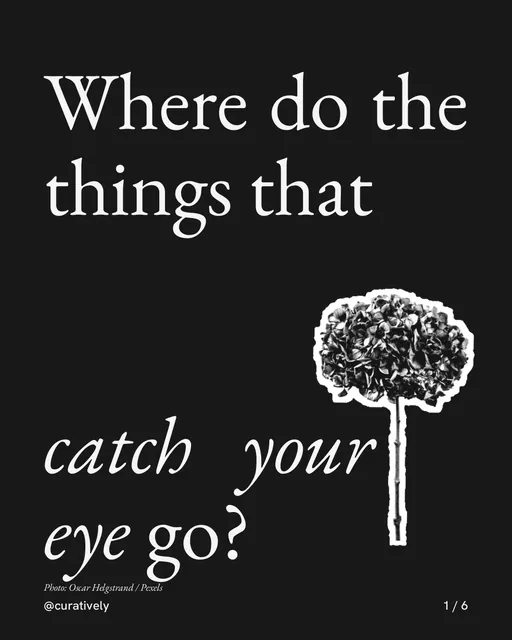 Carousel for Curatively: "Where do the things that catch your eye go?". Cutout essay, 6 slides, dark palette.
