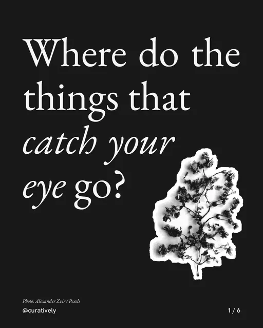 Carousel for Curatively: "Where do the things that catch your eye go?". Cutout essay, 6 slides, dark palette.