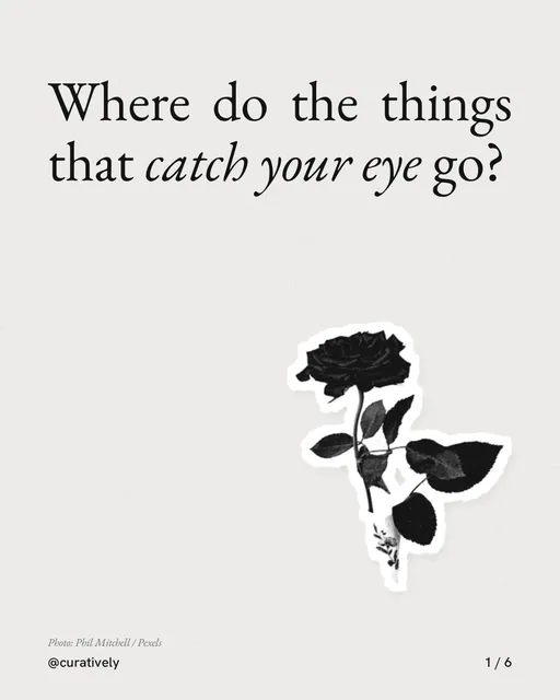 Carousel for Curatively: "Where do the things that catch your eye go?". Cutout essay, 6 slides, light palette.