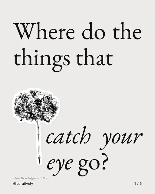 Carousel for Curatively: "Where do the things that catch your eye go?". Cutout essay, 6 slides, light palette.