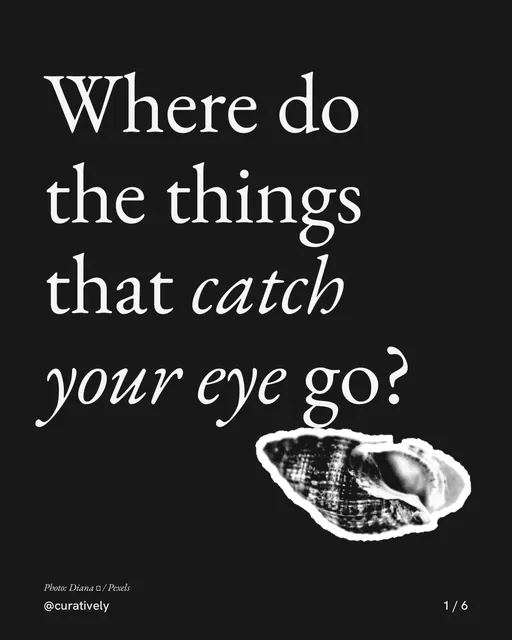 Carousel for Curatively: "Where do the things that catch your eye go?". Cutout essay, 6 slides, dark palette.