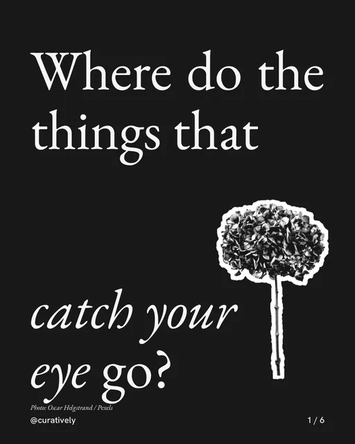 Carousel for Curatively: "Where do the things that catch your eye go?". Cutout essay, 6 slides, dark palette.