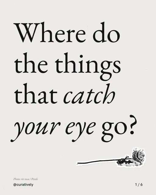 Carousel for Curatively: "Where do the things that catch your eye go?". Cutout essay, 6 slides, light palette.