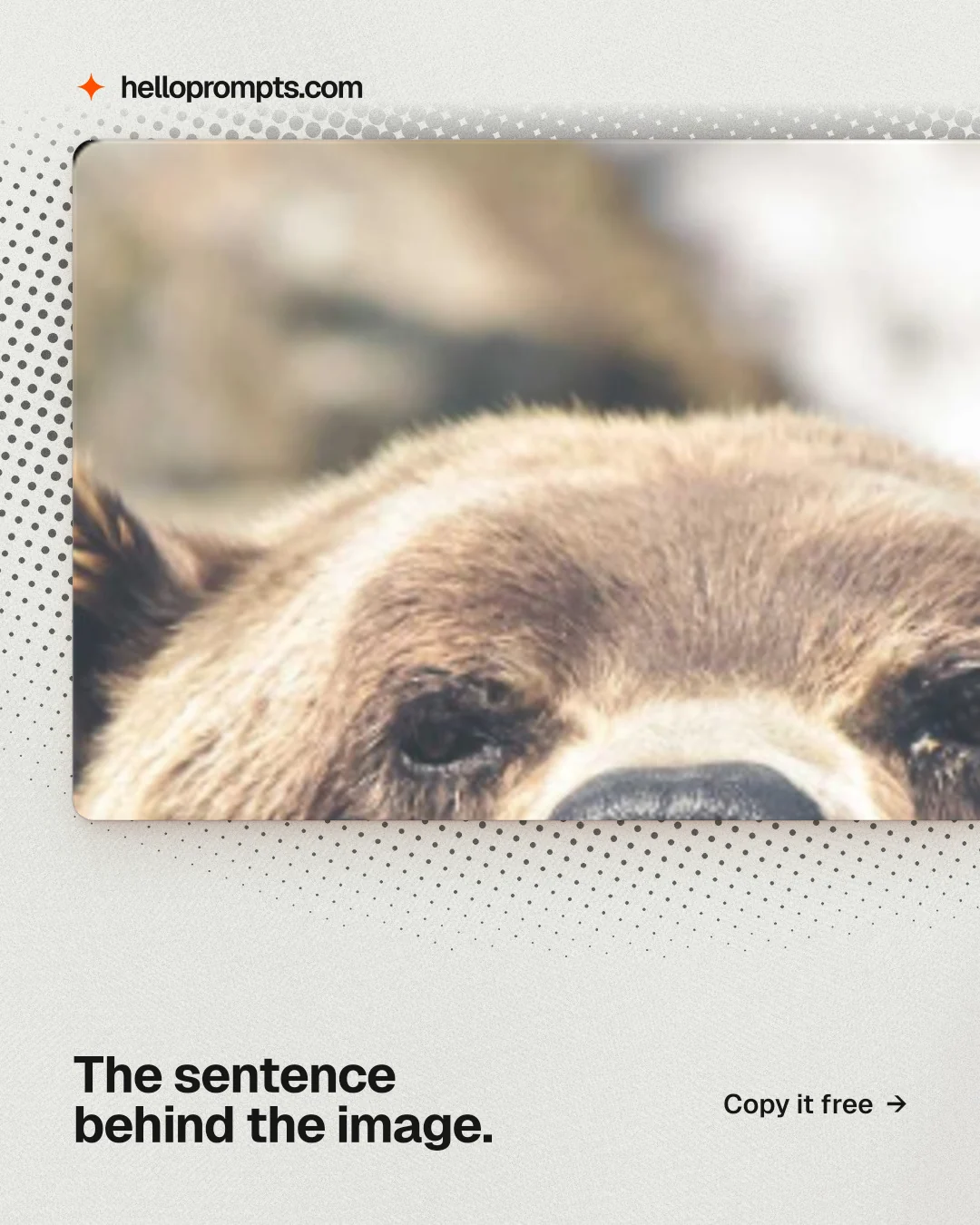Instagram portrait post for HelloPrompts: "The sentence behind the image." Swiss style, image led layout, light palette in white, orange, grey.