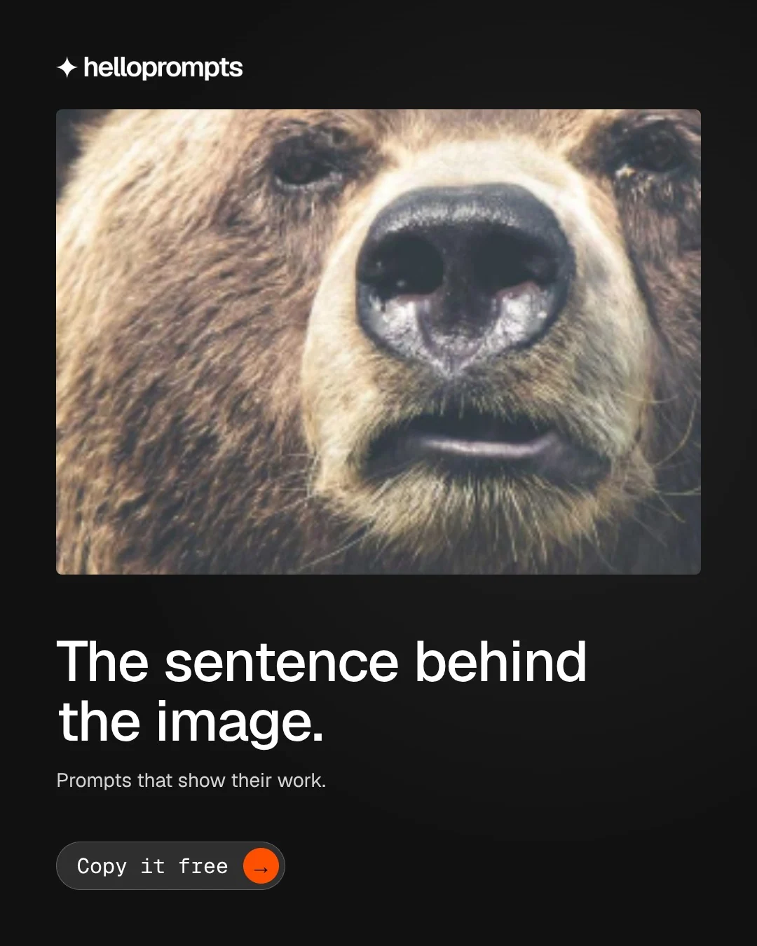 Video for HelloPrompts: "The sentence behind the image.". Doc motion loop, 7.0 s, dark palette.