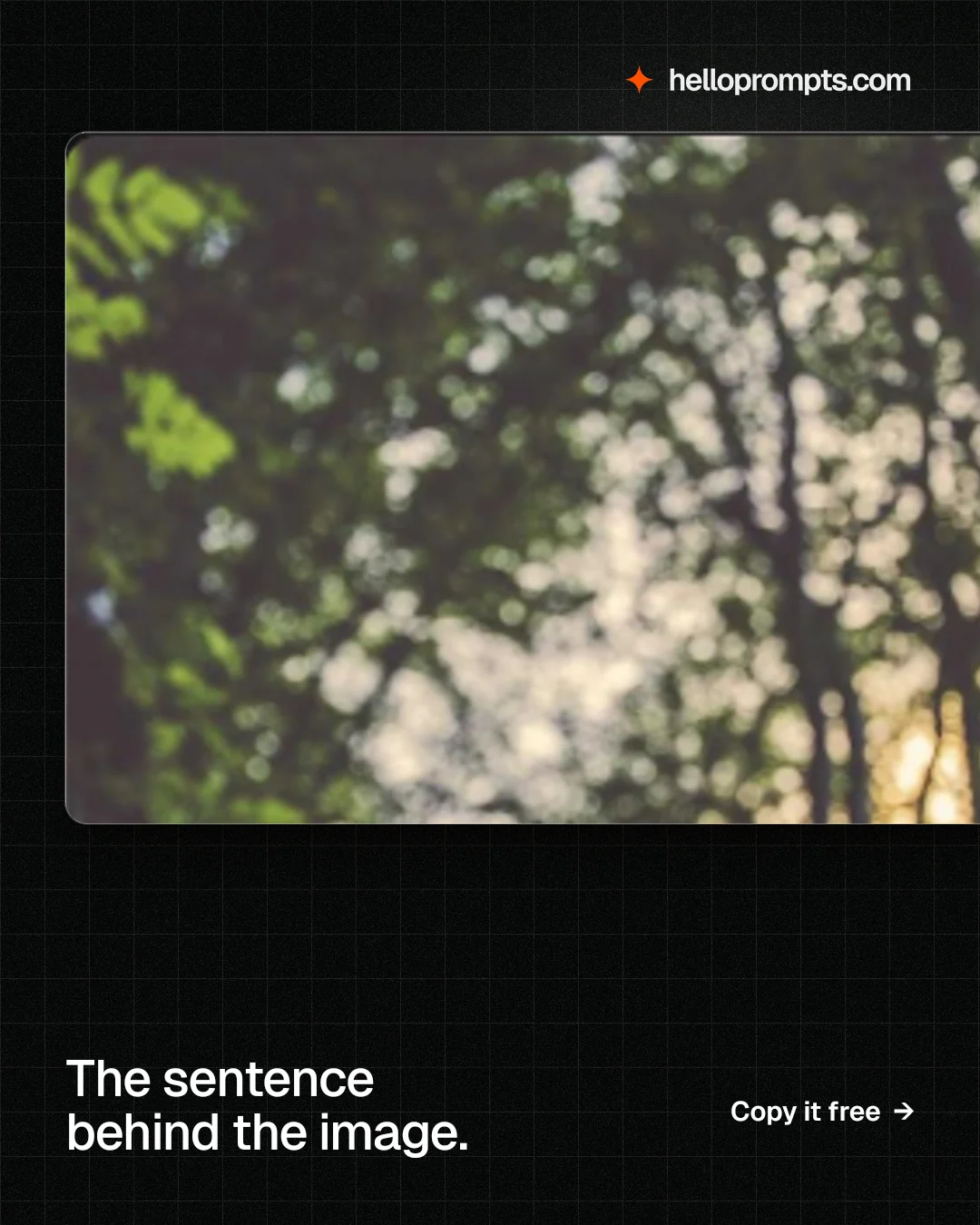 Instagram portrait post for HelloPrompts: "The sentence behind the image." Phosphor atlas style, image led layout, dark palette in grey, black.
